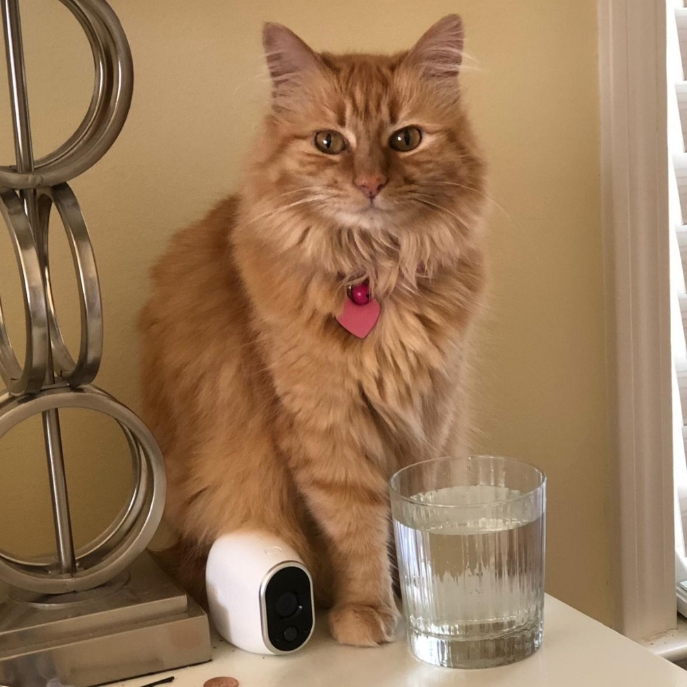 Meet your Posher, Karen